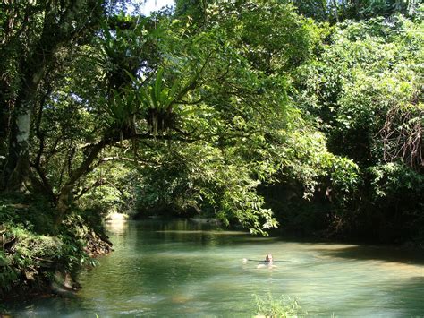  Ujung Kulon National Park: เอาท์ดอร์สวรรค์ สัมผัสความอลังการของธรรมชาติ